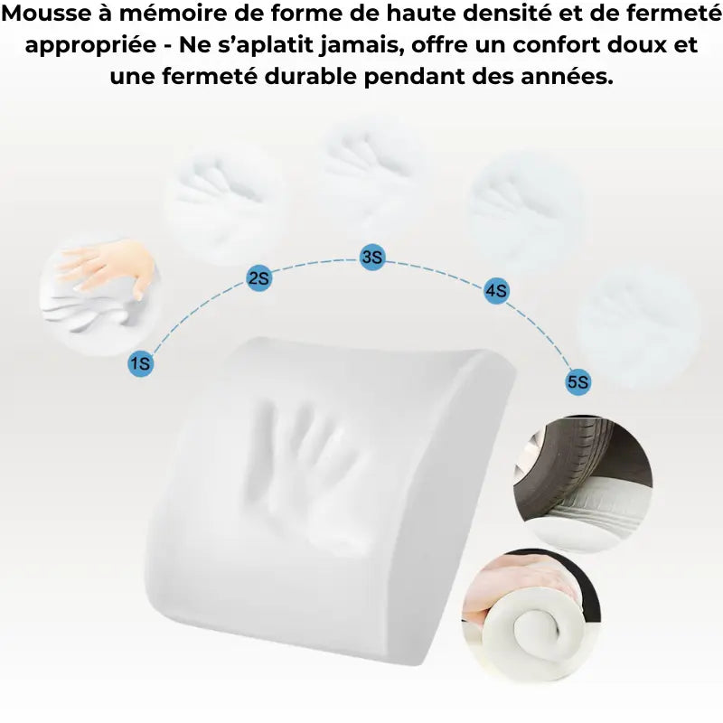 Coussin Orthopédique Dossier Cellsius - Soulage les douleurs lombaires et dorsales - Cellsius.com